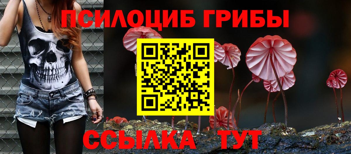 Галлюциногенные грибы Psilocybine cubensis Владикавказ